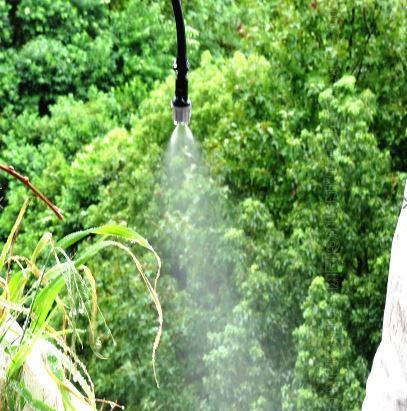 Sistema de Irrigação Profissional Pulverizadores Automáticos de Jardim - Grow Plantas