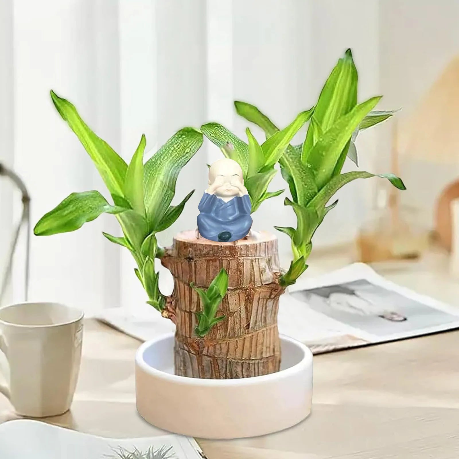 Planta em Vaso - Portal do Dragão Dourado - Abundância e Prosperidade