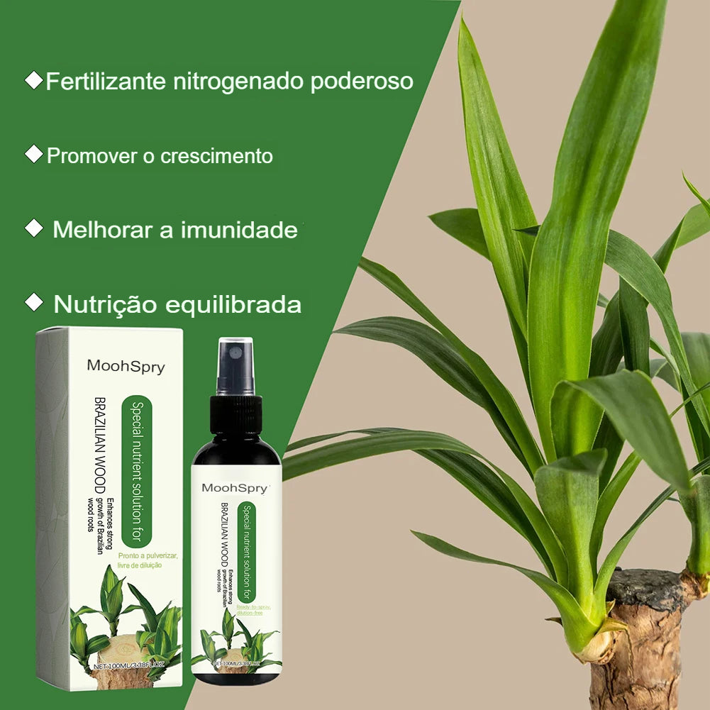 Solução Nutritiva de Fertilizantes Líquidos para Cultivo Hidropônico de Flores Nutrientes