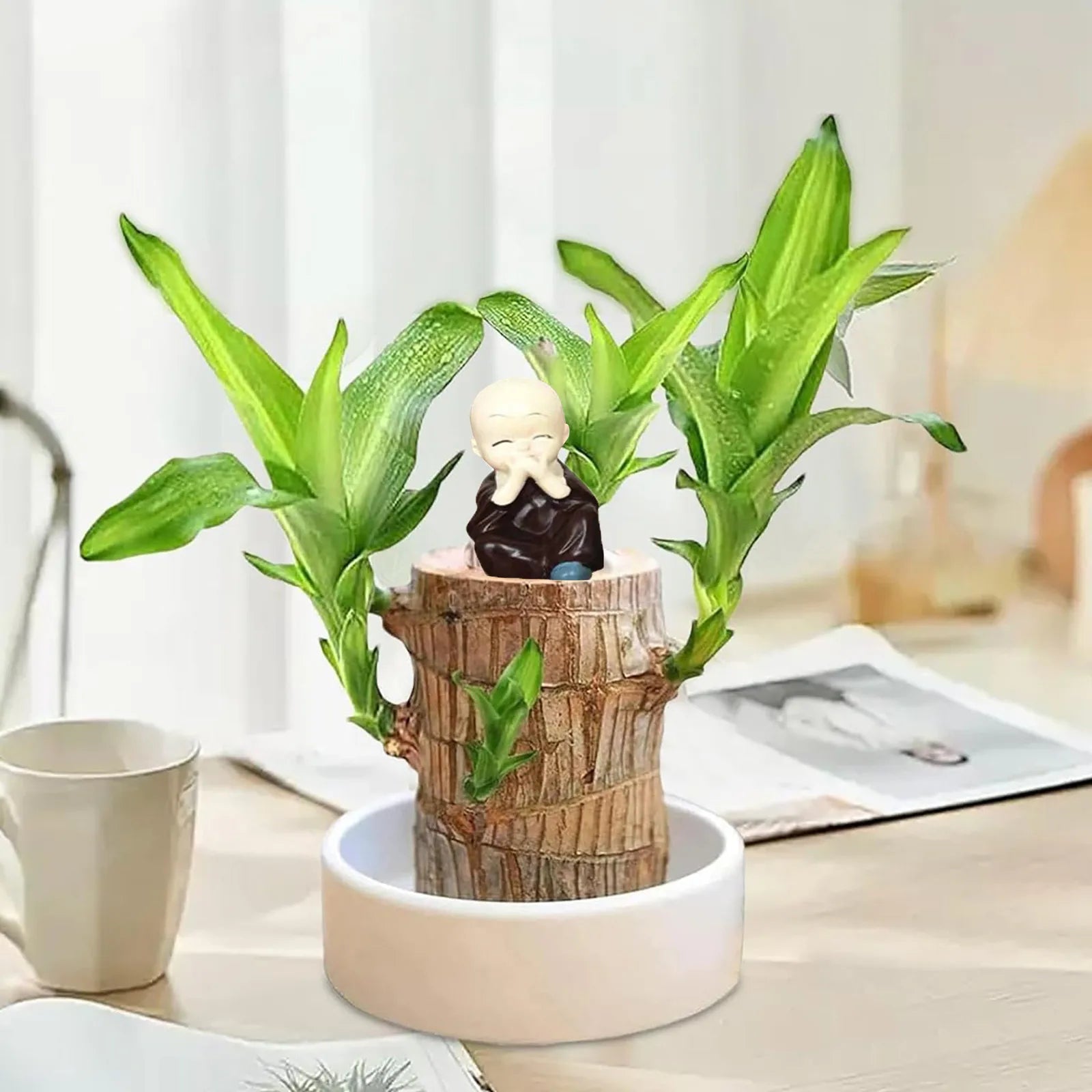 Planta em Vaso - Portal do Dragão Dourado - Abundância e Prosperidade