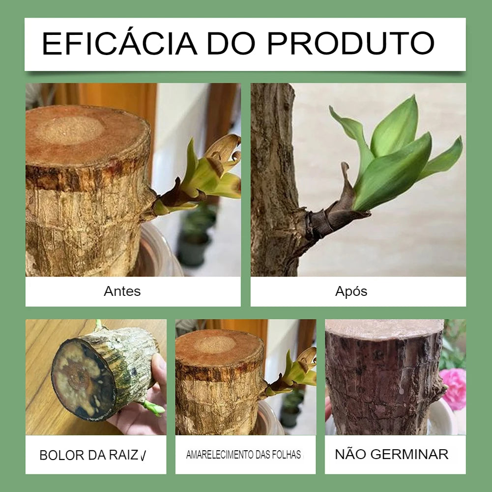 Solução Nutritiva de Fertilizantes Líquidos para Cultivo Hidropônico de Flores Nutrientes