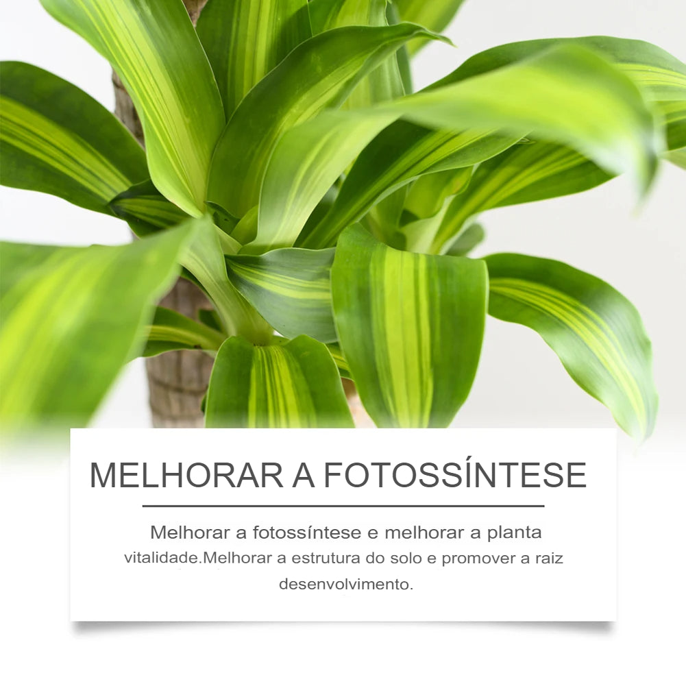 Solução Nutritiva de Fertilizantes Líquidos para Cultivo Hidropônico de Flores Nutrientes