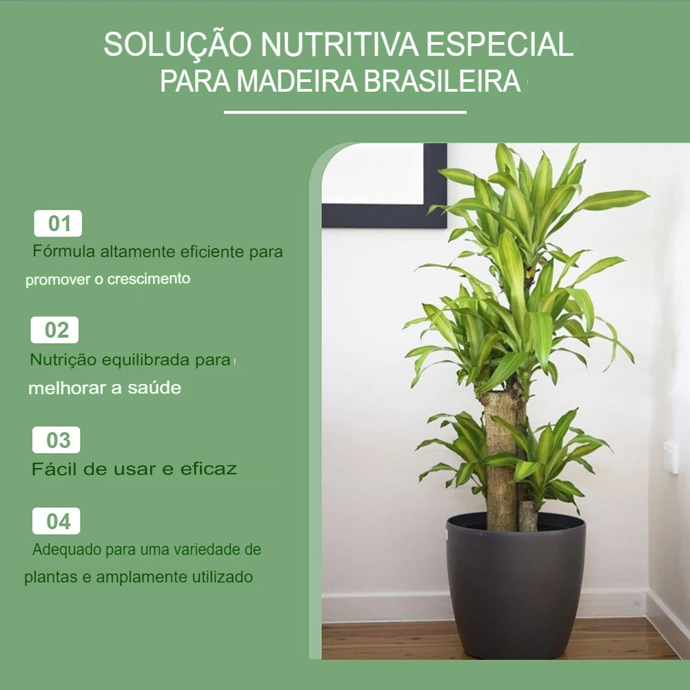 Solução Nutritiva de Fertilizantes Líquidos para Cultivo Hidropônico de Flores Nutrientes