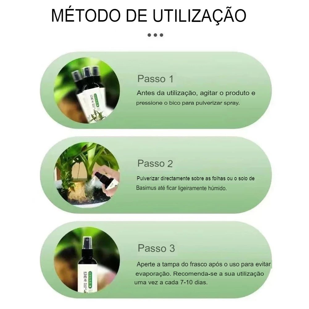 Solução Nutritiva de Fertilizantes Líquidos para Cultivo Hidropônico de Flores Nutrientes