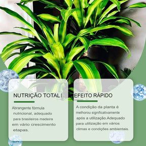 Solução Nutritiva de Fertilizantes Líquidos para Cultivo Hidropônico de Flores Nutrientes