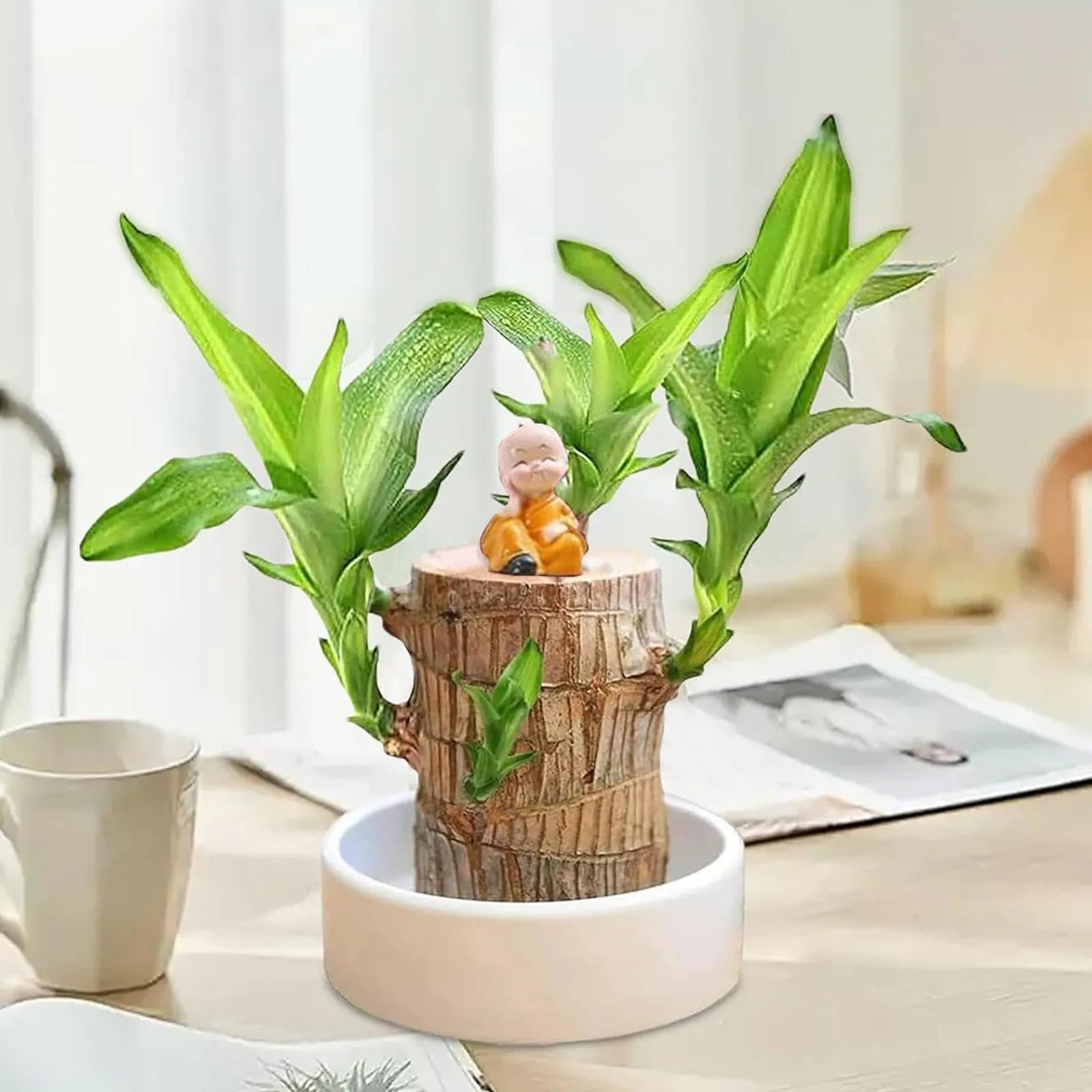 Planta em Vaso - Portal do Dragão Dourado - Abundância e Prosperidade