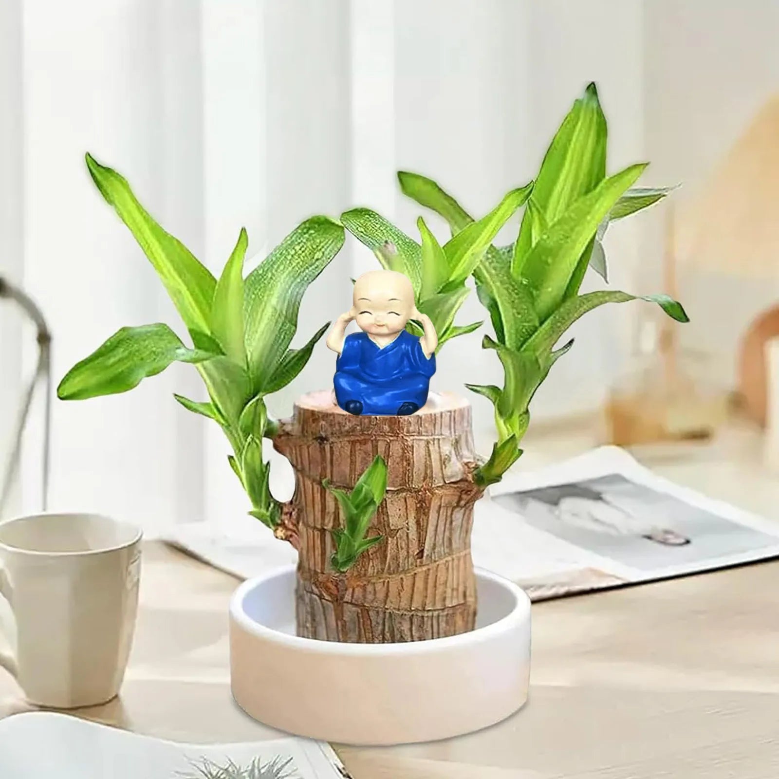 Planta em Vaso - Portal do Dragão Dourado - Abundância e Prosperidade