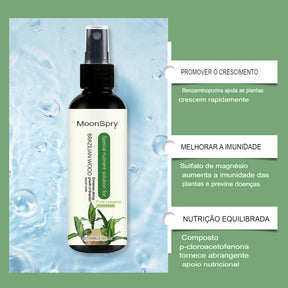 Solução Nutritiva de Fertilizantes Líquidos para Cultivo Hidropônico de Flores Nutrientes