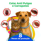 Colar Anti Pulgas e Carrapatos